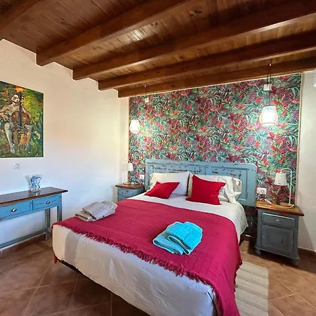 Cactus Piscina Climatizada *