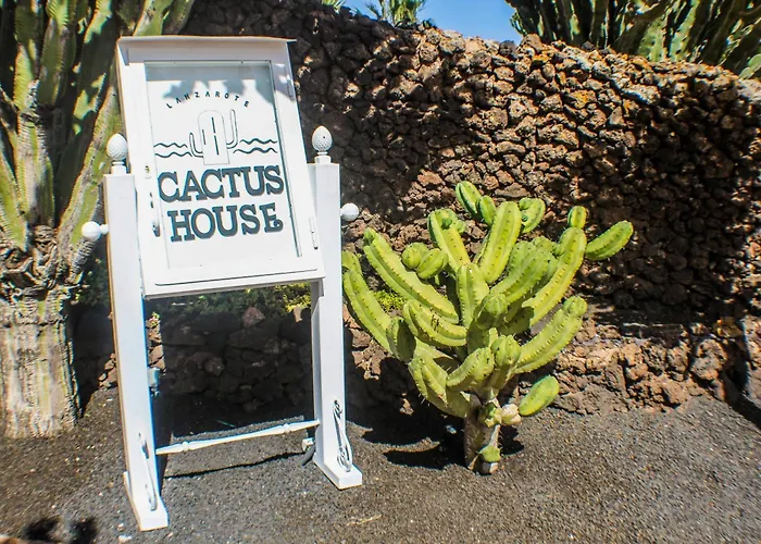 فيلة Cactus Piscina Climatizada