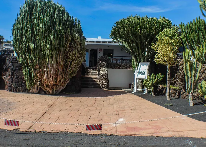 Cactus Piscina Climatizada *