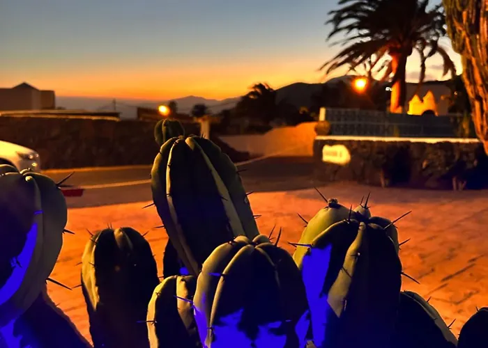 فيلة Cactus Piscina Climatizada