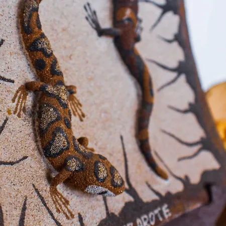 Cactus Piscina Climatizada La Asomada (Lanzarote)