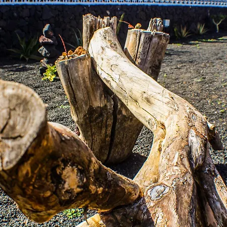 Cactus Piscina Climatizada Villa La Asomada (Lanzarote)