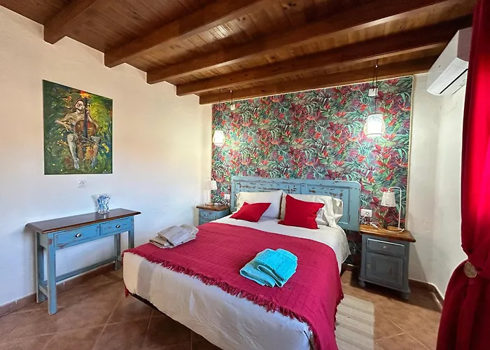 Cactus Piscina Climatizada *