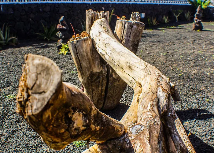 Cactus Piscina Climatizada Вилла Ла-Асомада