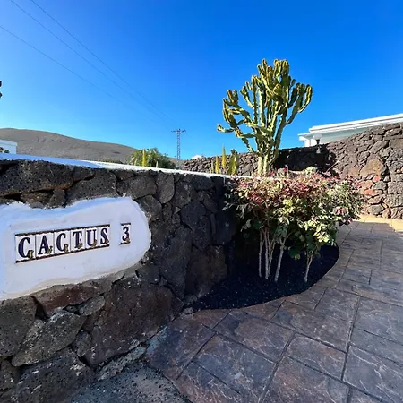 Cactus Piscina Climatizada * La Asomada (Lanzarote)